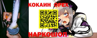 дмт Дубна