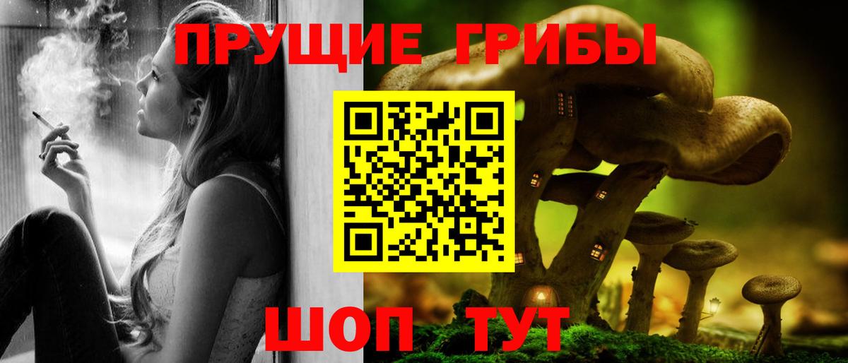 Псилоцибиновые грибы Psilocybe Заринск