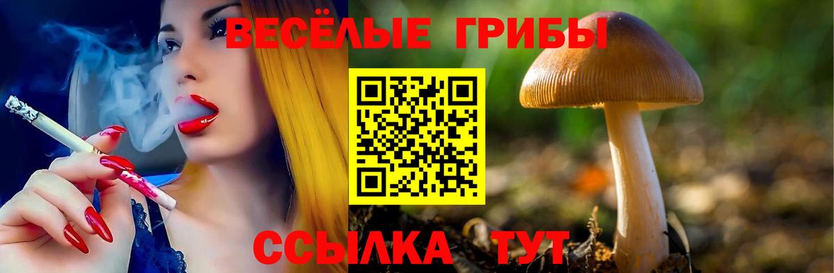 где продают   Псилоцибиновые грибы Magic Shrooms  Галлюциногенные грибы мицелий  Вход с VPN  Заринск 
